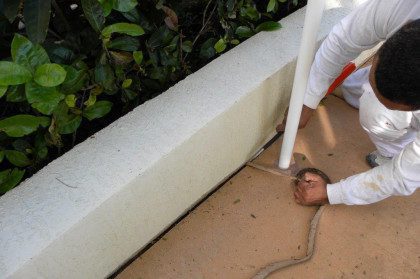 Concrete Repair Services
